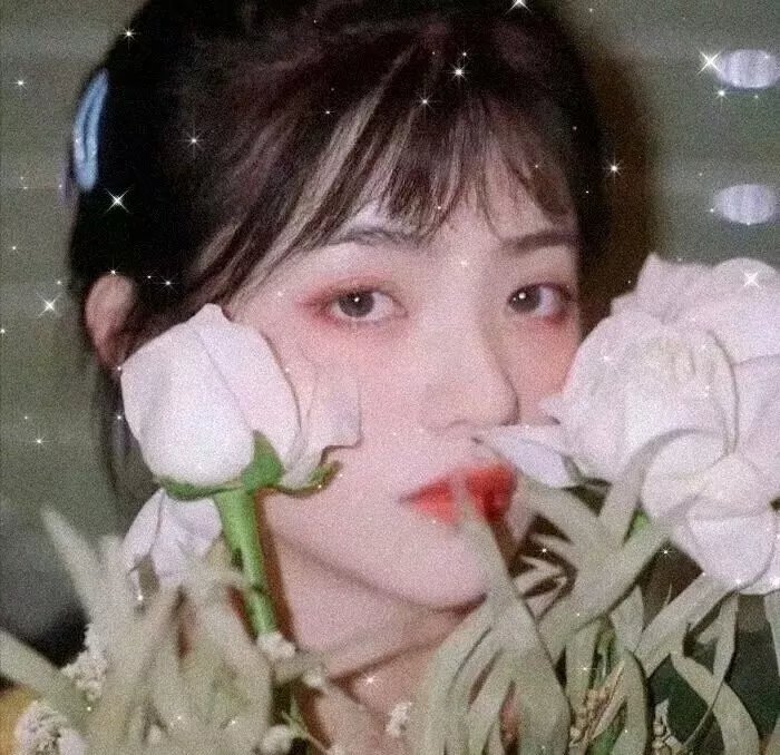 咒怨封面